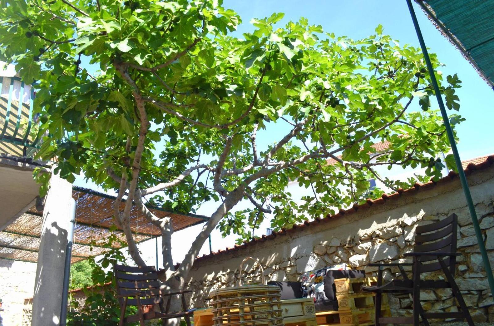 Apartmani Spanja Vodice Luaran gambar